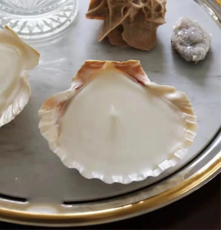 Natural Whelk Sea Shell Candles